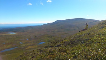 0903. Vy över vackra Oviksfjällen
